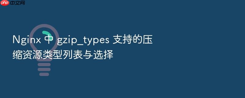 nginx 中 gzip_types 支持的压缩资源类型列表与选择