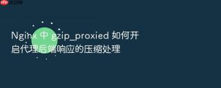 nginx 中 gzip_proxied 如何开启代理后端响应的压缩处理