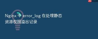 nginx 中 error_log 在处理静态资源权限溢出记录