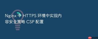 Nginx 中 HTTPS 环境中实现内容安全策略 CSP 配置