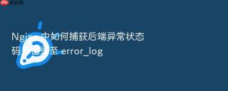 Nginx 中如何捕获后端异常状态码并记录至 error_log