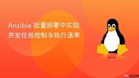 ansible 批量部署中实现并发任务控制与执行速率