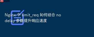 Nginx 中 limit_req 如何结合 nodelay 参数提升响应速度