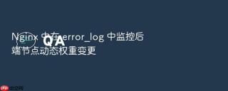 nginx 中在 error_log 中监控后端节点动态权重变更