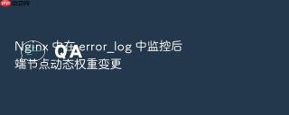 Nginx 中在 error_log 中监控后端节点动态权重变更