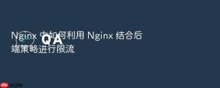 nginx 中如何利用 nginx 结合后端策略进行限流
