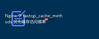 Nginx 中 fastcgi_cache_methods 优化缓存访问频率