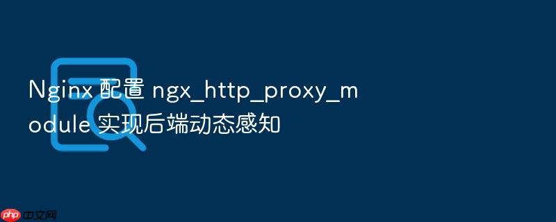 nginx 配置 ngx_http_proxy_module 实现后端动态感知