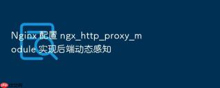 nginx 配置 ngx_http_proxy_module 实现后端动态感知