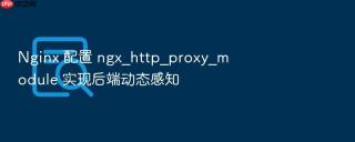 Nginx 配置 ngx_http_proxy_module 实现后端动态感知