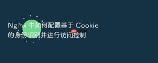 nginx 中如何配置基于 cookie 的身份识别并进行访问控制