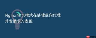 Nginx 轮询模式在处理反向代理并发请求的表现