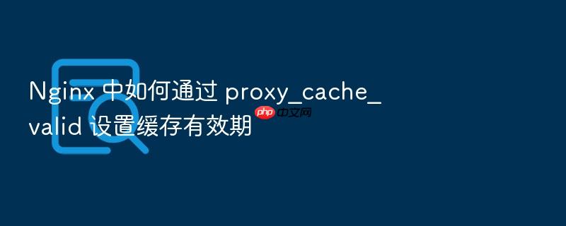 nginx 中如何通过 proxy_cache_valid 设置缓存有效期