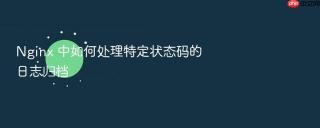 nginx 中如何处理特定状态码的日志归档