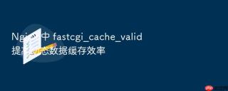 Nginx 中 fastcgi_cache_valid 提高动态数据缓存效率