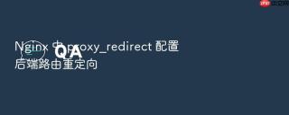 nginx 中 proxy_redirect 配置后端路由重定向