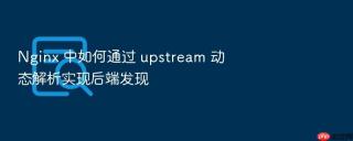 nginx 中如何通过 upstream 动态解析实现后端发现