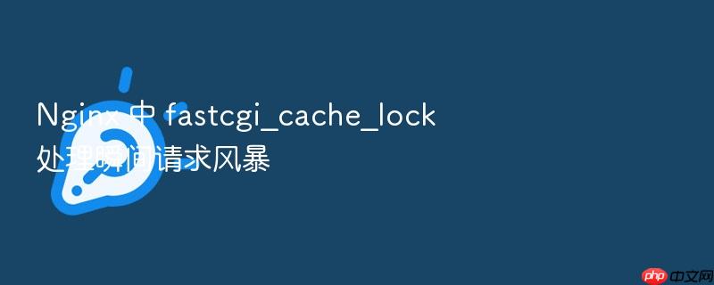 nginx 中 fastcgi_cache_lock 处理瞬间请求风暴
