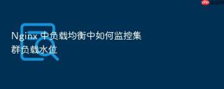 nginx 中负载均衡中如何监控集群负载水位