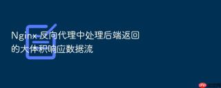 nginx 反向代理中处理后端返回的大体积响应数据流