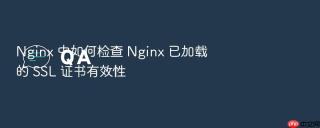 nginx 中如何检查 nginx 已加载的 ssl 证书有效性
