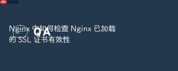 Nginx 中如何检查 Nginx 已加载的 SSL 证书有效性