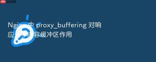 Nginx 中 proxy_buffering 对响应头与内容缓冲区作用