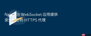 nginx 为 websocket 应用提供安全加密的 https 代理