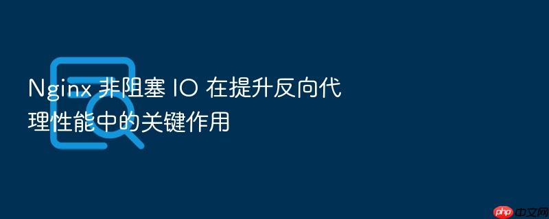 nginx 非阻塞 io 在提升反向代理性能中的关键作用