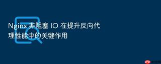 nginx 非阻塞 io 在提升反向代理性能中的关键作用