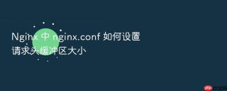 nginx 中 nginx.conf 如何设置请求头缓冲区大小