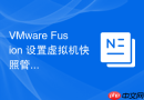VMware Fusion 设置虚拟机快照管理与恢复策略