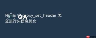 nginx 中 proxy_set_header 怎么进行头信息优化