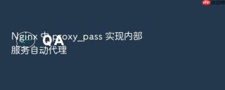Nginx 中 proxy_pass 实现内部服务自动代理