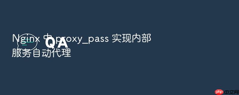 nginx 中 proxy_pass 实现内部服务自动代理