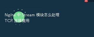 Nginx 中 Stream 模块怎么处理 TCP 连接复用