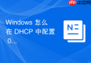 Windows 怎么在 DHCP 中配置 003 路由器选项为客户端分发默认网关