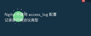 nginx 中使用 access_log 配置记录客户端协议类型