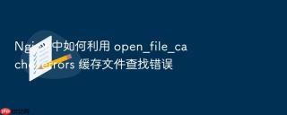 Nginx 中如何利用 open_file_cache_errors 缓存文件查找错误