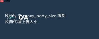 nginx 中 proxy_body_size 限制反向代理上传大小