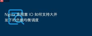 Nginx 非阻塞 IO 如何支持大并发下的负载均衡调度
