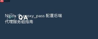 Nginx 中 proxy_pass 配置后端代理服务组指南