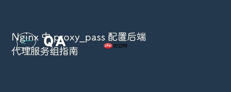 nginx 中 proxy_pass 配置后端代理服务组指南