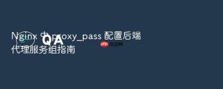 nginx 中 proxy_pass 配置后端代理服务组指南