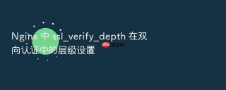 nginx 中 ssl_verify_depth 在双向认证中的层级设置