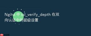 Nginx 中 ssl_verify_depth 在双向认证中的层级设置