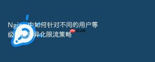 Nginx 中如何针对不同的用户等级配置差异化限流策略