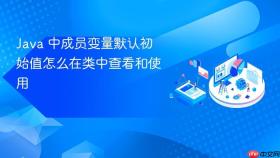 Java 中成员变量默认初始值怎么在类中查看和使用