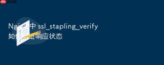 Nginx 中 ssl_stapling_verify 如何验证响应状态