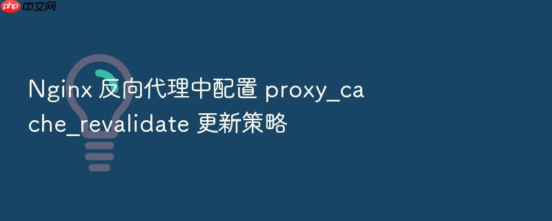 nginx 反向代理中配置 proxy_cache_revalidate 更新策略
